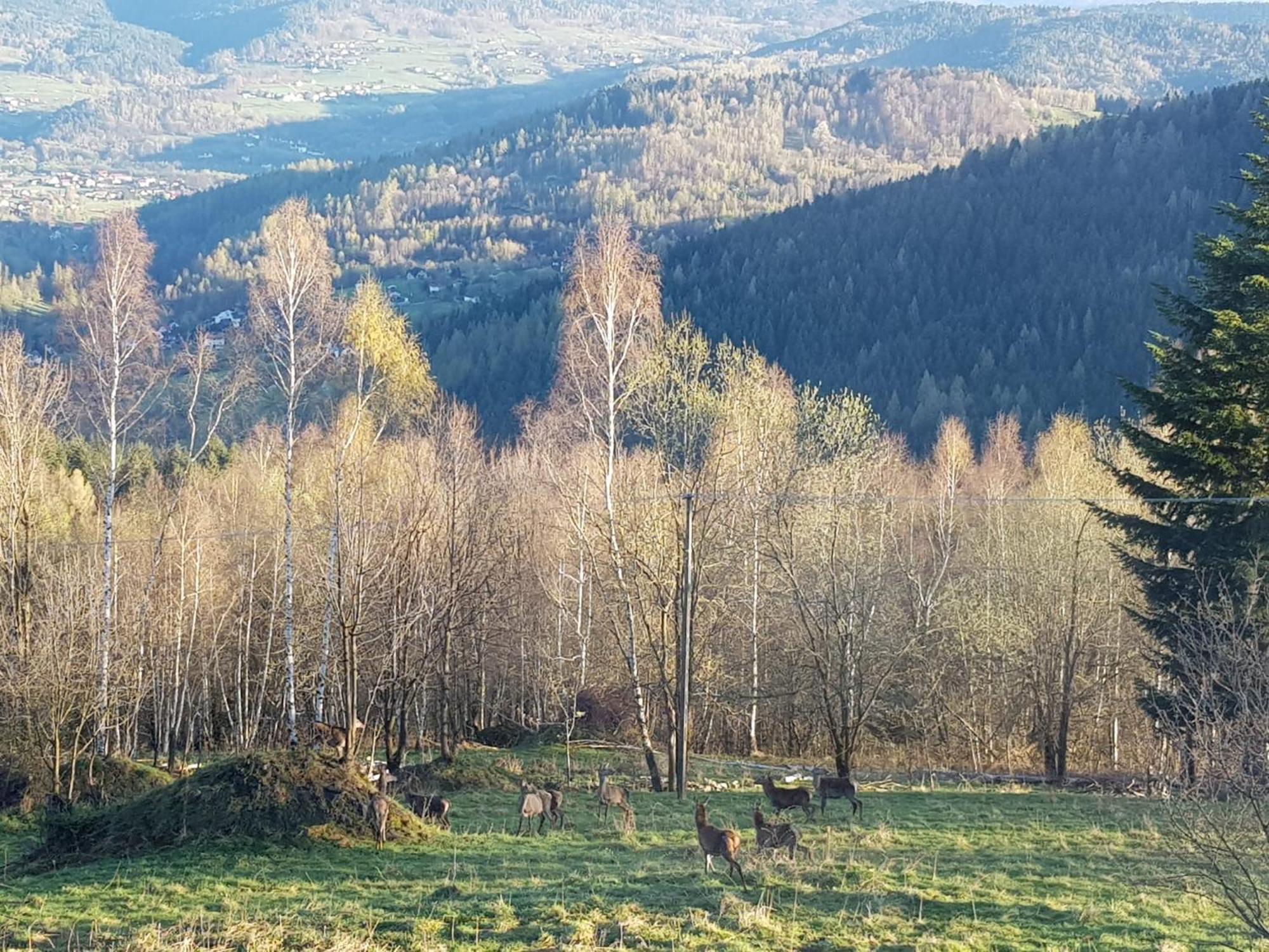 Surzynowka Bauernhof *